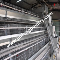 Automaitc Poultry Farm Layer Chicken Cage Hot Sales na Nigéria